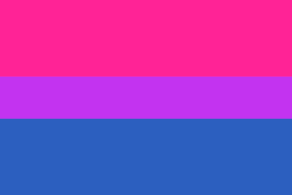 Bandera bisexual | Historia y significado de los colores